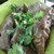 Photos of Ng AH SIo Pork Ribs Soup Eating House - Restaurants