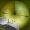applek24