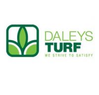 Daleysturf