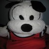 bobdog75 bobdog75