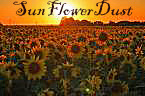 sunflowerdust