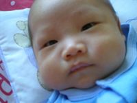 Ocha