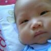 Ocha Ocha