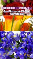 hongkongfloristshop