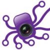 octopuswedding octopuswedding