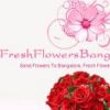 flowbang flowbang